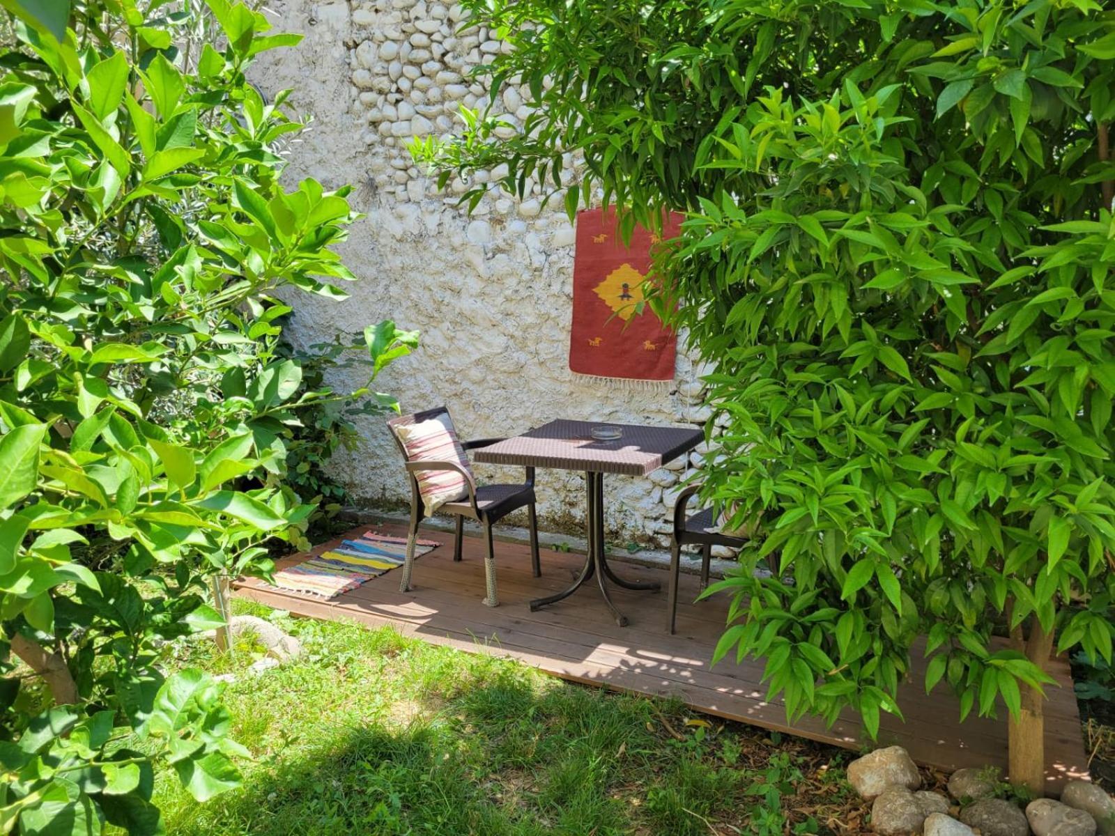 Vila Koltrina Shkodër 外观 照片