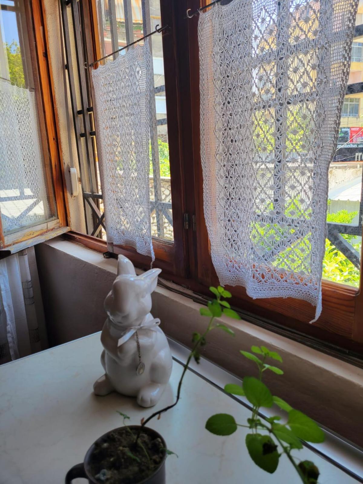 Vila Koltrina Shkodër 外观 照片