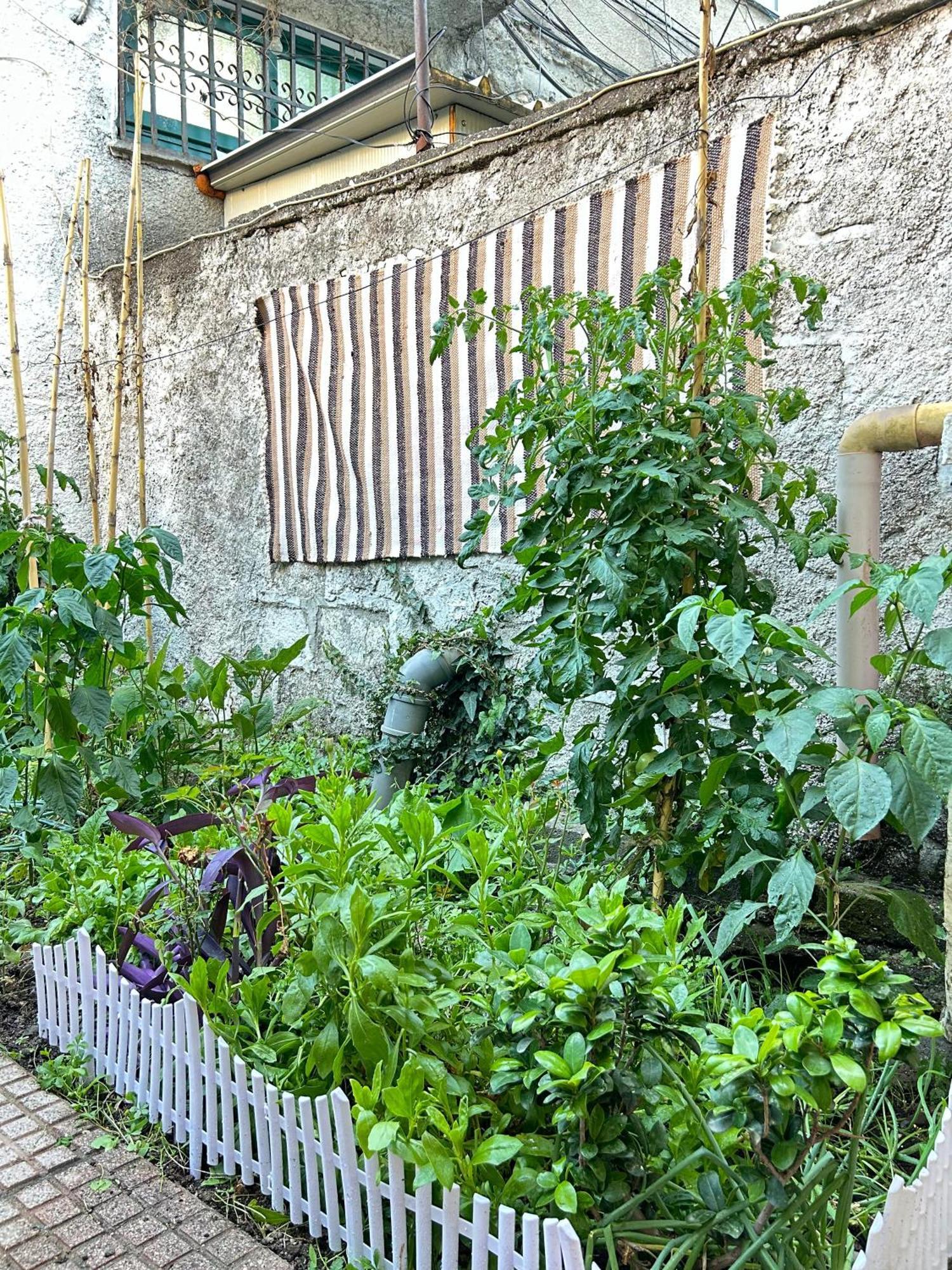 Vila Koltrina Shkodër 外观 照片